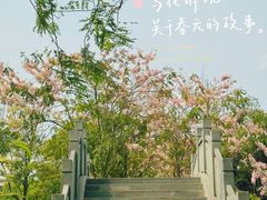 -四海公园(南山区)