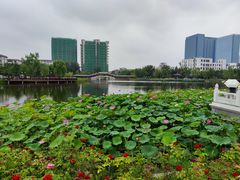 -西海子公园