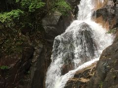 -九龙江国家森林公园