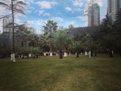 -龙头寺公园