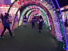 -VT101维多利广场