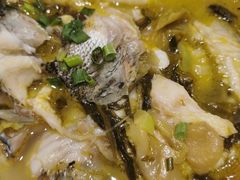 -紫光园·烤鸭·北京菜(劲松店)