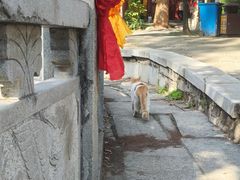 -宝通禅寺