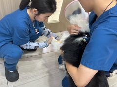 -申普宠物医院·眼科·心内科·影像科(普陀分院)