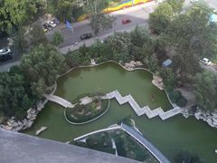 -山东大厦