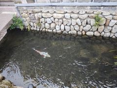 -前童古镇