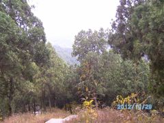 -牛郎织女景区