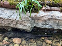 -普洱太阳河森林公园