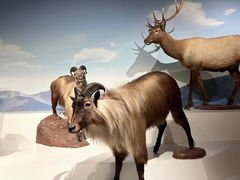 -陕西自然博物馆