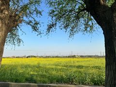 -上海佘山国家森林公园天马山园