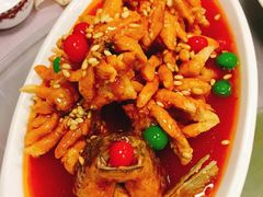 津门第一鱼-大福都