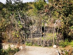 -大岭沟猕猴桃谷风景区