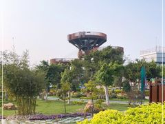-芒洲湿地公园