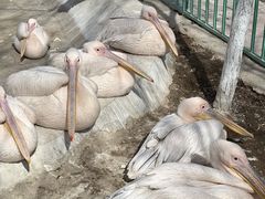 -水上乐园·欢乐世界