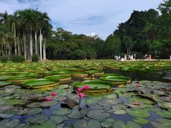 -中国科学院西双版纳热带植物园