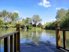 -溱湖国家湿地公园