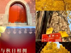 -承恩寺