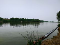 -合肥滨湖国家森林公园