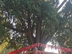 -四门塔风景区