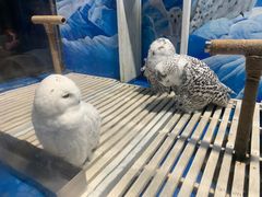 -成都浩海立方海洋公园