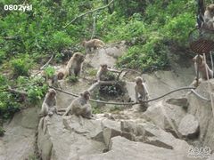 -太湖源风景区