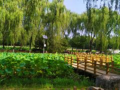 -东升八家郊野公园