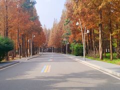 -日照海滨国家森林公园
