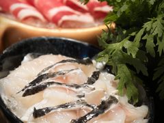 -浅深Cheersum(曹杨店)