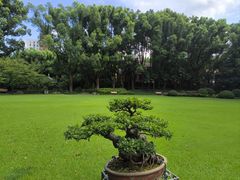 -申粤轩酒楼·三十年粤菜经典(丁香花园店)