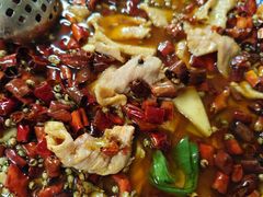 -青岛锅贴(四流中路店)