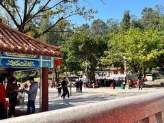 -南国桃园旅游度假区