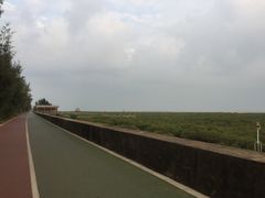 -北海金海湾红树林生态旅游区