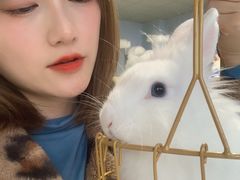 -RU DUCK柯尔鸭公社·撸鸭俱乐部·羊驼·小香猪