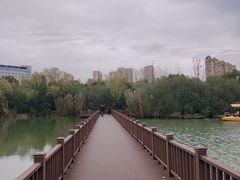 -青枫公园