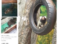 iphone_upload_pic-上海大自然野生昆虫馆