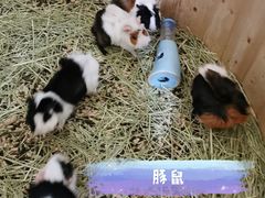 -海合安武汉极地海洋公园