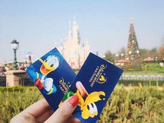 -上海迪士尼度假区