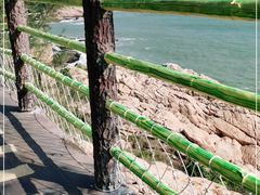 -广东惠东海龟国家级自然保护区