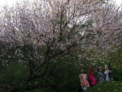 -石峰公园
