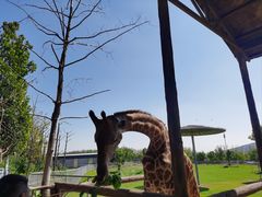 -南京金牛湖风景区