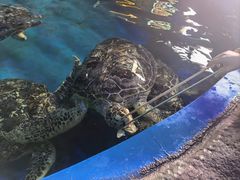 -横店影视城梦幻谷园区