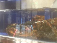 android_upload_pic-頂好酒家·经典粤菜(海信广场店)