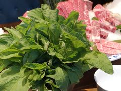 -珍宝轩海鲜火锅(碧湖大厦店)