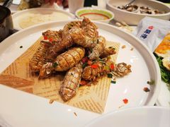 -开海·红岛海鲜虾水饺(石老人店)