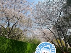 -尚贤河湿地