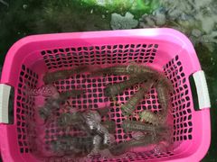 -J Daeng Seafood
