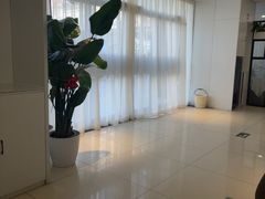 -新疆兵团食府清真(马连道店)