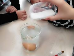 -贝乐多幼儿园(中北校区)