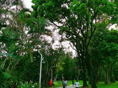 -人民公园(罗湖区)