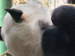 -栾川竹海野生动物园